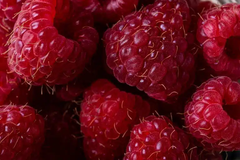 confit de framboises