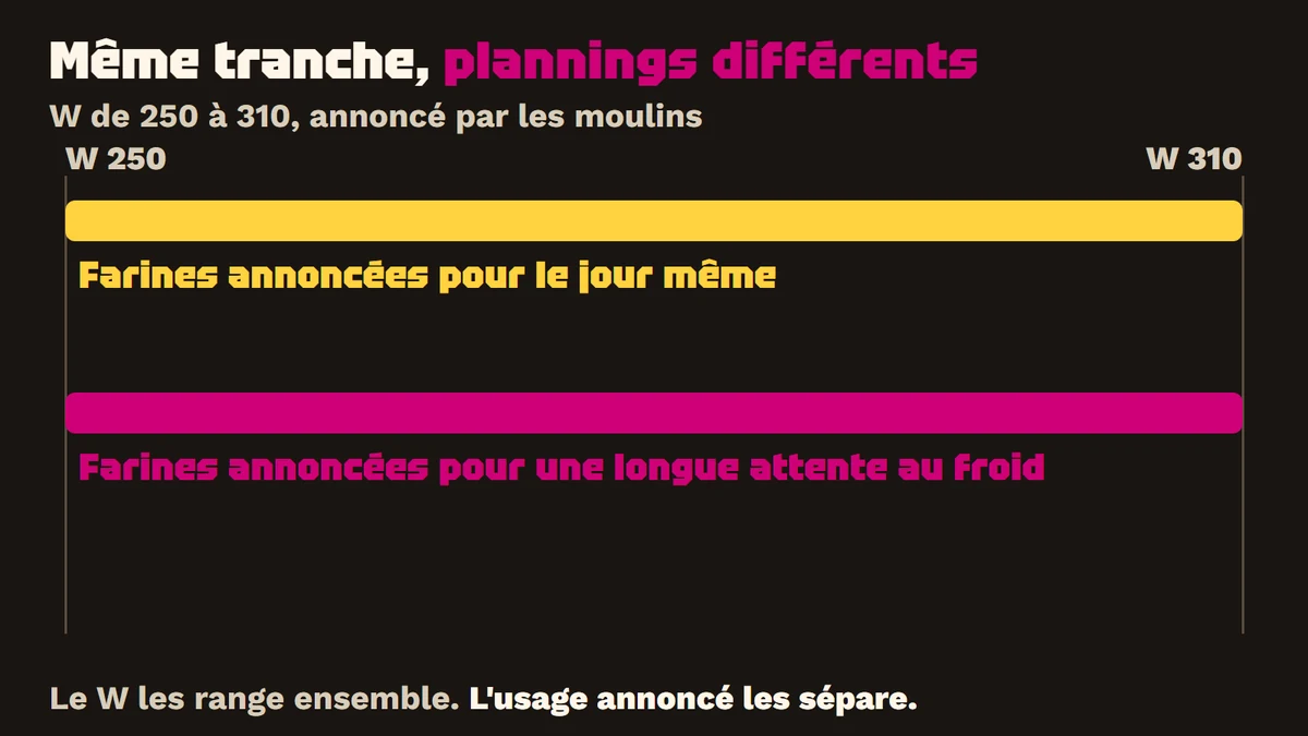 Farines moyennes (W 250 à 310) 1 Une règle de W 250 à W 310 portant deux bandes : les farines annoncées pour le jour même, et celles annoncées pour une longue attente au froid.