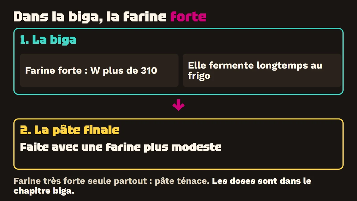 Farines fortes (W plus de 310) 1 Une biga au frigo en deux étapes : la biga, faite avec une farine forte de W plus de 310, puis la pâte finale, faite avec une farine plus modeste. D'autres méthodes passent toute la farine en biga.