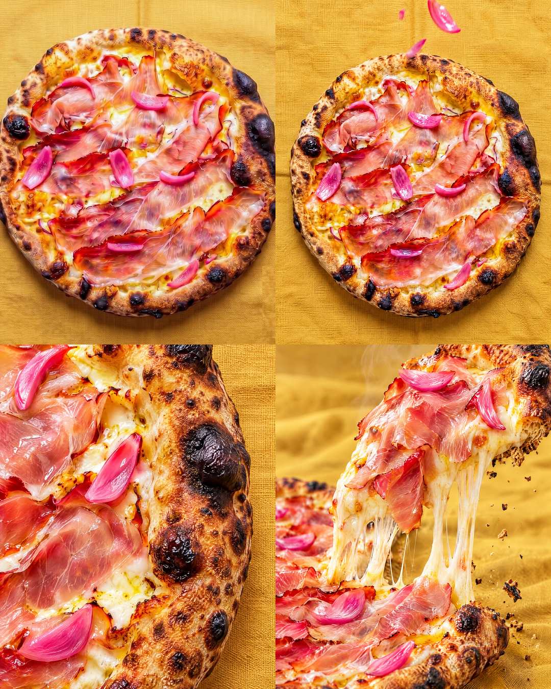 mpt studio kit pizza vignette